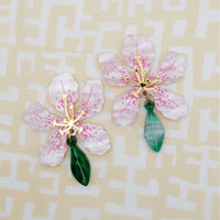 Azalea: Full Flower, Light Pink
