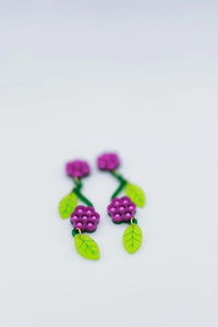 American Beautyberry (All Versions)