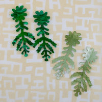 Fern Hybrid