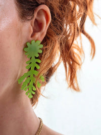 Fern Hybrid