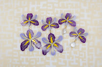 IRIS : Single Pearl Drop
